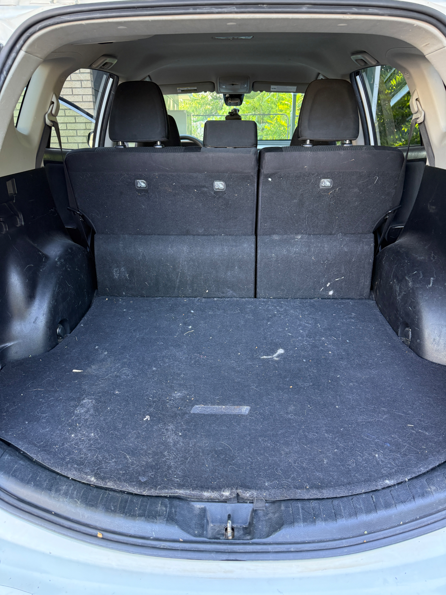 Vehicle trunk before and after basic pet hair removal — before