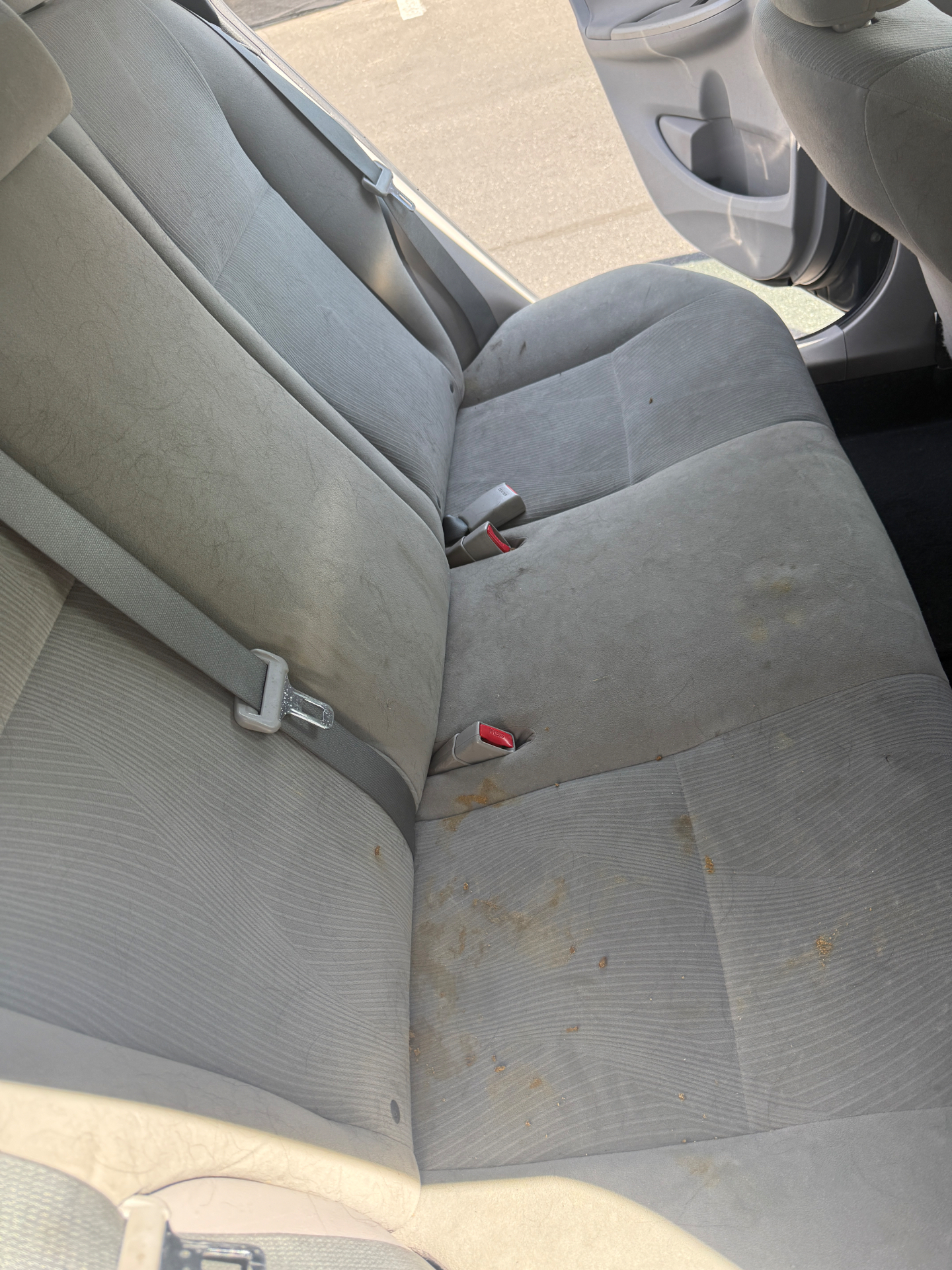 Vehicle interior before and after pet hair and debris removal — before